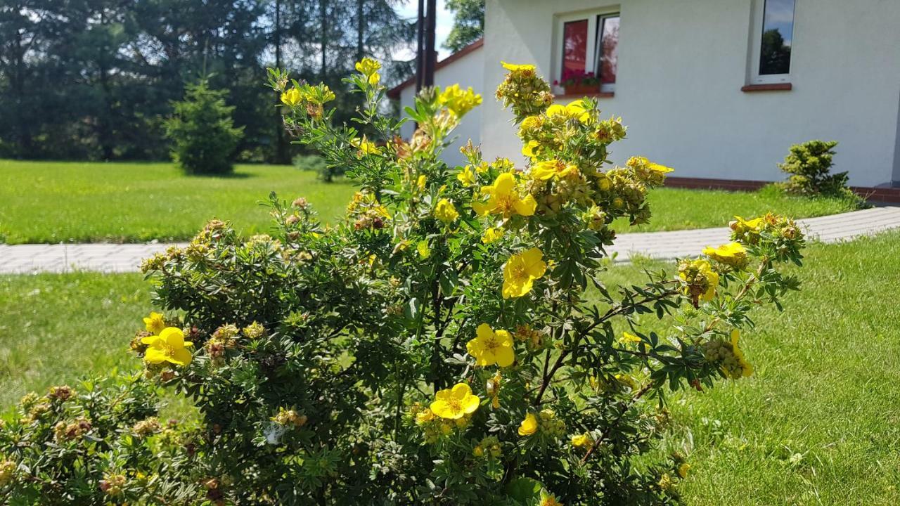 Appartement Gosciniec Mazurek à Giżycko Extérieur photo